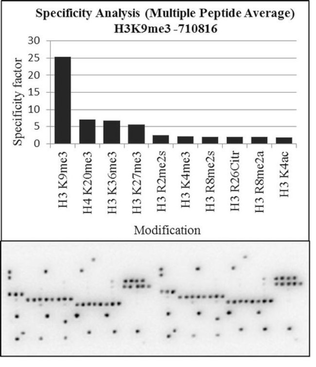 H3K9me3 Antibody in Peptide array (ARRAY)