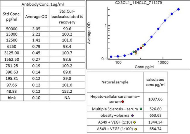 CX3CL1 Antibody in ELISA (ELISA)