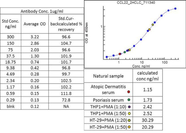 MDC Antibody in ELISA (ELISA)