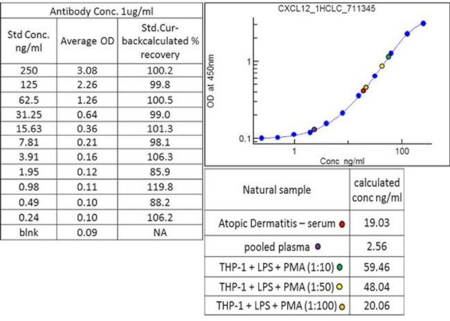 CXCL12 Antibody in ELISA (ELISA)