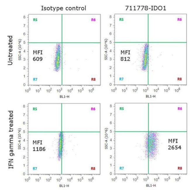 IDO Antibody in Flow Cytometry (Flow)