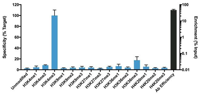 H3K4me3 Antibody in ChIP Assay (ChIP)