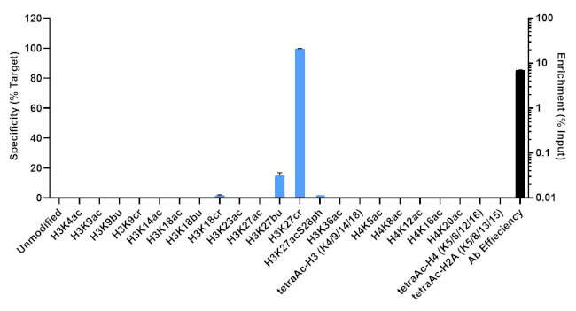 H3K27cr Antibody in ChIP Assay (ChIP)