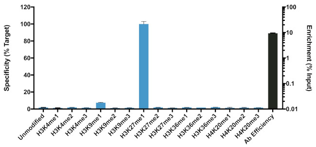 H3K27me1 Antibody in ChIP Assay (ChIP)