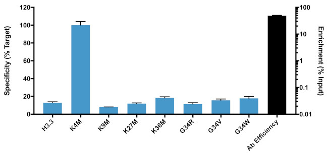 H3.3 K4M oncohistone mutant Antibody in ChIP Assay (ChIP)