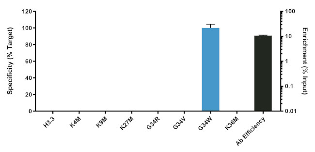 H3.3 G34W oncohistone mutant Antibody in ChIP Assay (ChIP)