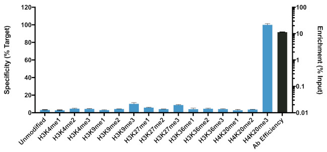 H4K20me3 Antibody in ChIP Assay (ChIP)