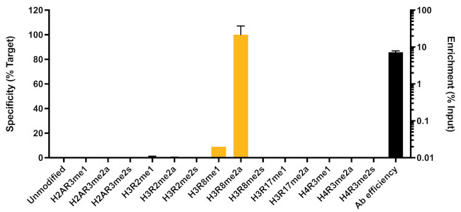 H3R8me2a Antibody in ChIP Assay (ChIP)