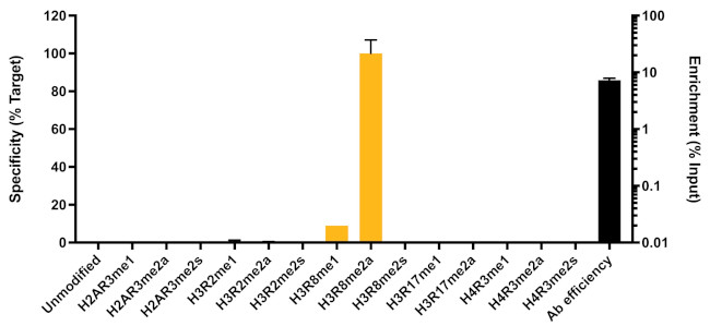 H3R8me2a Antibody