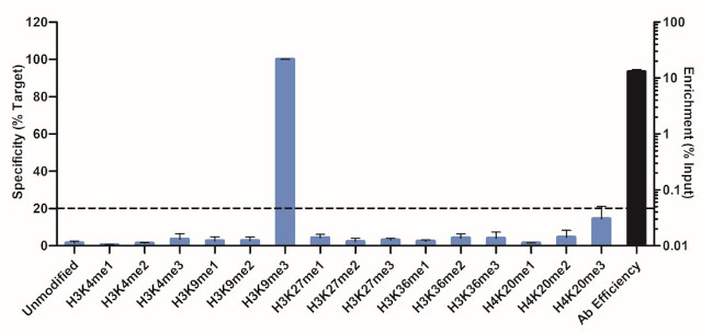 H3K9me3 Antibody in ChIP Assay (ChIP)