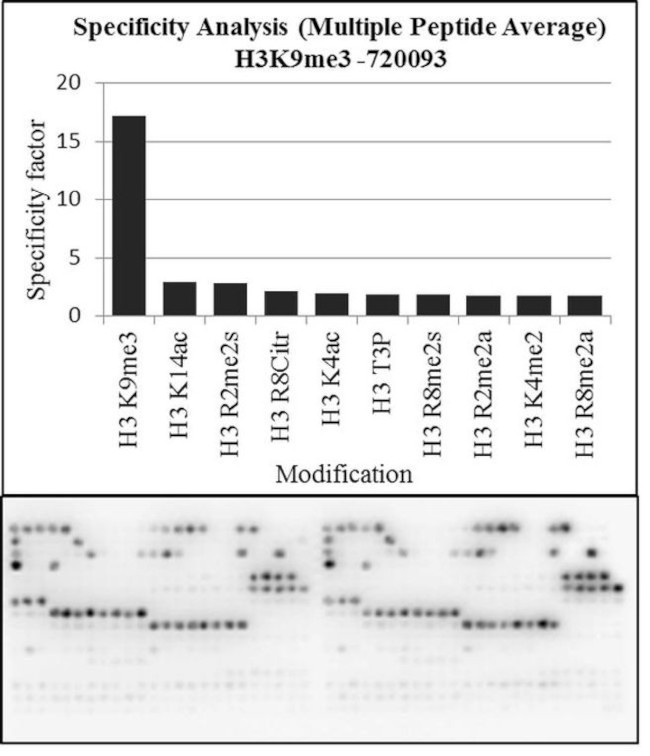 H3K9me3 Antibody in Peptide array (ARRAY)