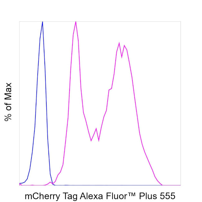 mCherry Antibody in Flow Cytometry (Flow)