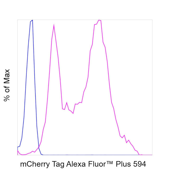 mCherry Antibody in Flow Cytometry (Flow)