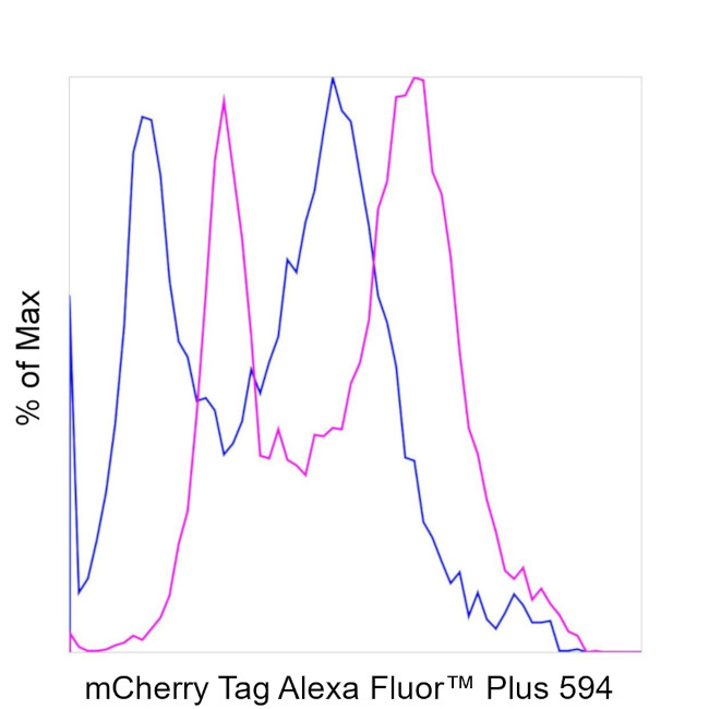 mCherry Antibody in Flow Cytometry (Flow)