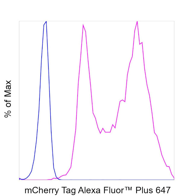 mCherry Antibody in Flow Cytometry (Flow)