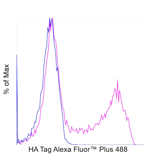 HA Tag Antibody in Flow Cytometry (Flow)