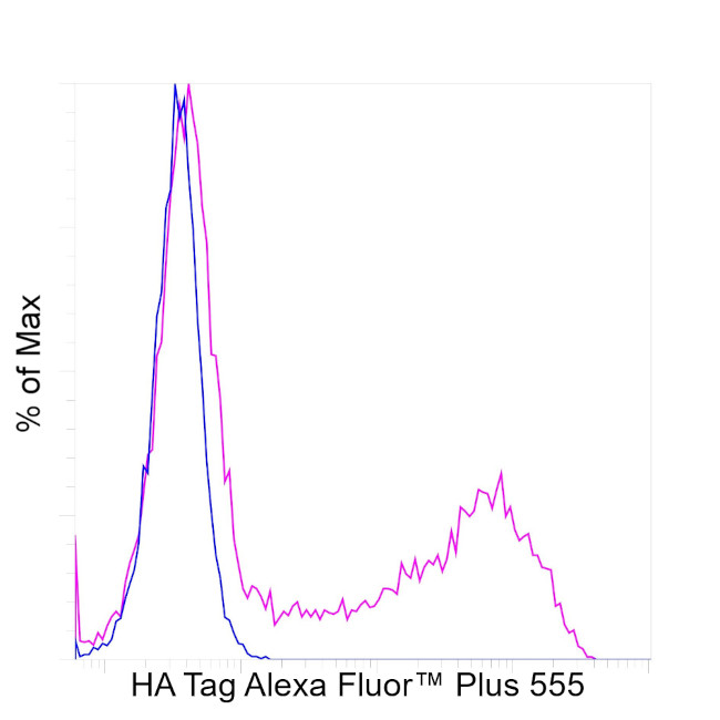 HA Tag Antibody in Flow Cytometry (Flow)