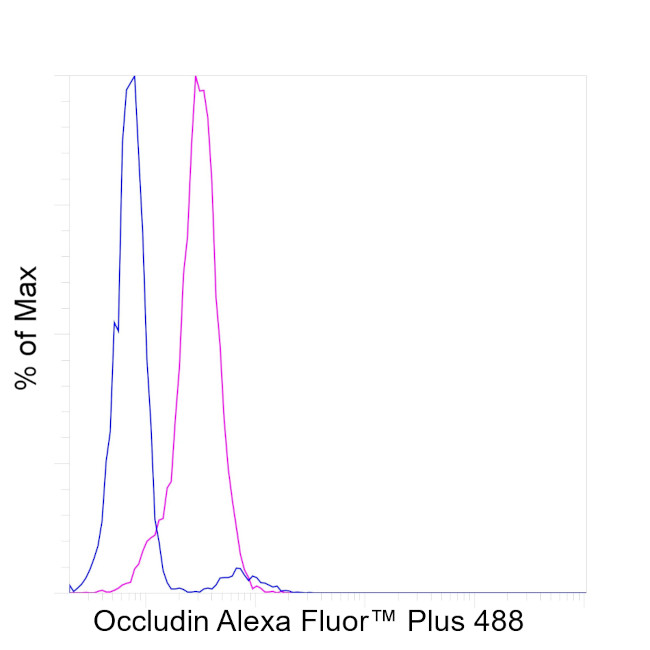 Occludin Antibody