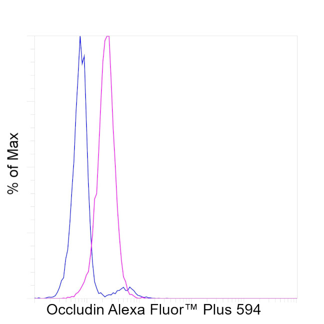 Occludin Antibody