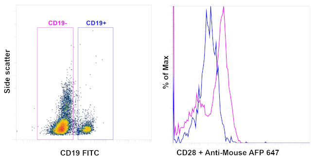 CD28 Antibody