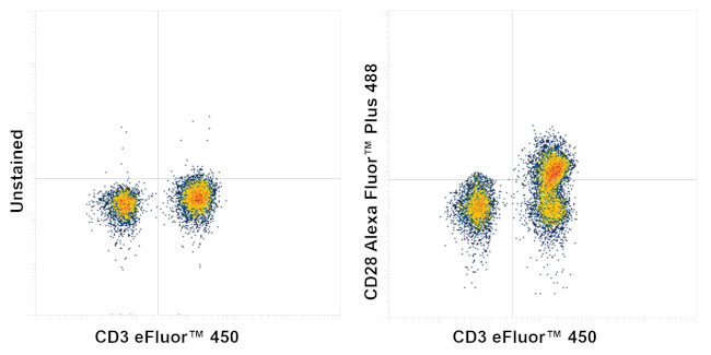 CD28 Antibody