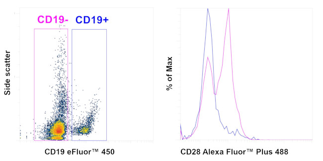 CD28 Antibody in Flow Cytometry (Flow)