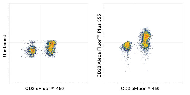 CD28 Antibody