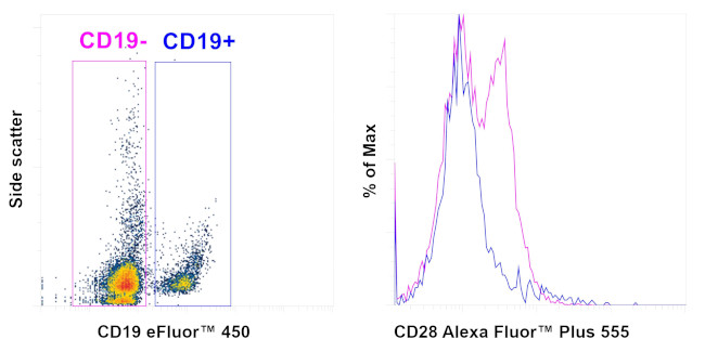 CD28 Antibody in Flow Cytometry (Flow)