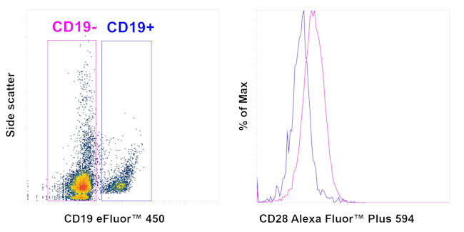 CD28 Antibody in Flow Cytometry (Flow)