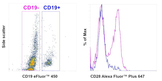 CD28 Antibody in Flow Cytometry (Flow)