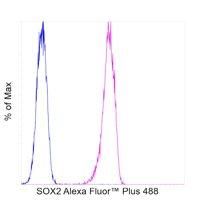 SOX2 Antibody in Flow Cytometry (Flow)