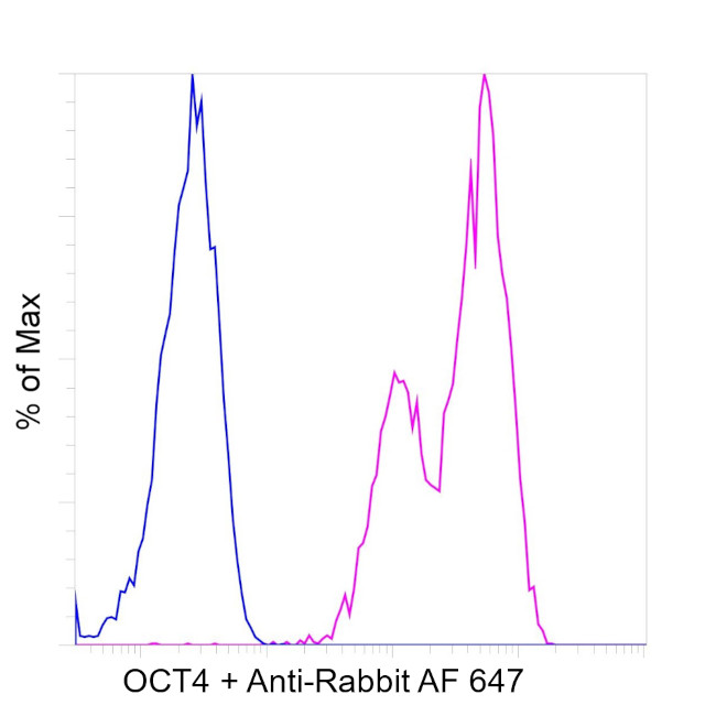 OCT4 Antibody in Flow Cytometry (Flow)