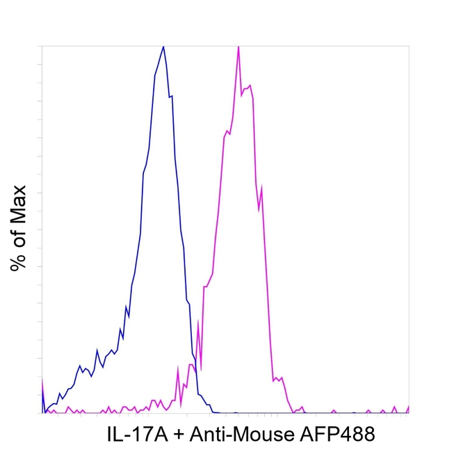 IL-17A Antibody