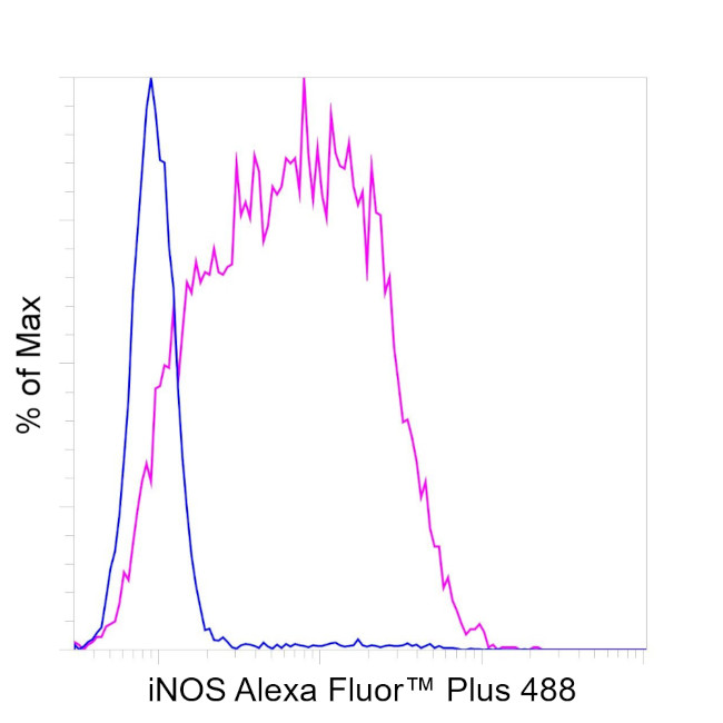 iNOS Antibody in Flow Cytometry (Flow)