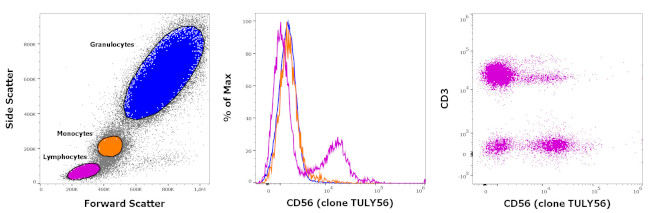 CD56 (NCAM) Antibody in Flow Cytometry (Flow)