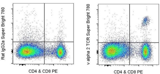 TCR V alpha 2 Antibody in Flow Cytometry (Flow)