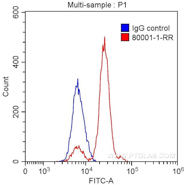 TDP-43 Antibody in Flow Cytometry (Flow)
