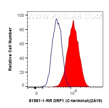 DRP1 Antibody in Flow Cytometry (Flow)