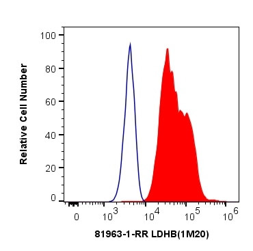 LDHB Antibody in Flow Cytometry (Flow)