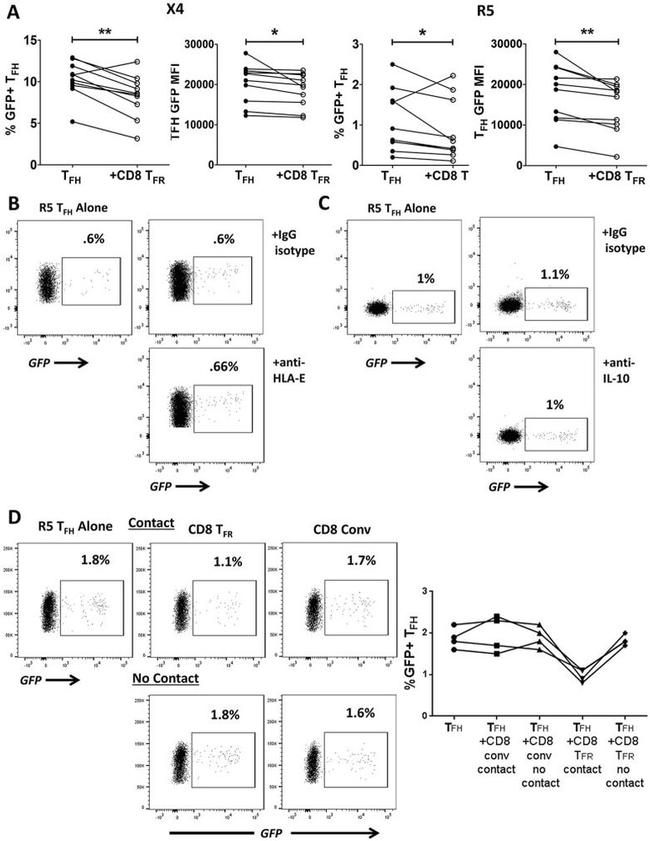 CD8a Antibody in Flow Cytometry (Flow)