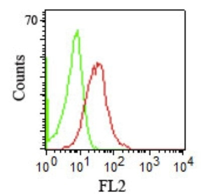 CD1b (T-Cell Surface Glycoprotein) Antibody in Flow Cytometry (Flow)