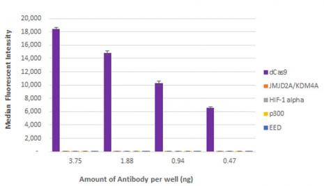 Cas9 Antibody in ELISA (ELISA)