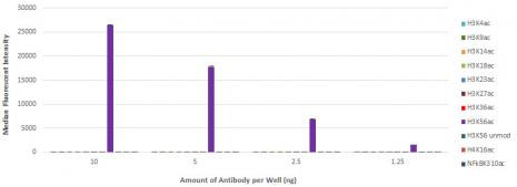 Histone H3K56ac Antibody in ELISA (ELISA)