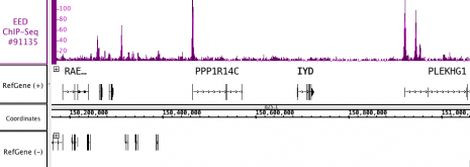EED Antibody in ChIP-Sequencing (ChIP-Seq)