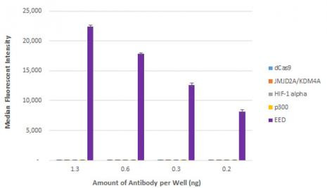 EED Antibody in ELISA (ELISA)