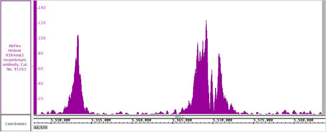 Histone H3K4me3 Antibody in ChIP-Sequencing (ChIP-Seq)