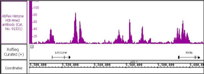 Histone H3K4me2 Antibody in ChIP-Sequencing (ChIP-Seq)