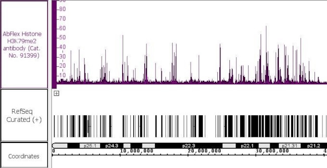 Histone H3K79me2 Antibody in ChIP-Sequencing (ChIP-Seq)
