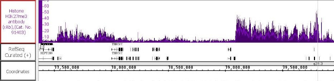 Histone H3K27me3 Antibody in ChIP-Sequencing (ChIP-Seq)