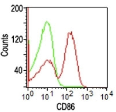 CD86 (Dendritic Cells Maturation Marker) Antibody in Flow Cytometry (Flow)